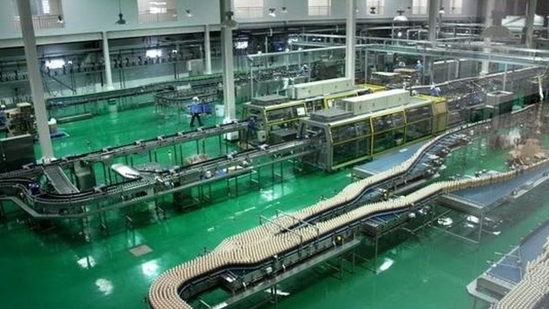 屠宰设备日屠宰量500头，如何选型更合理？**