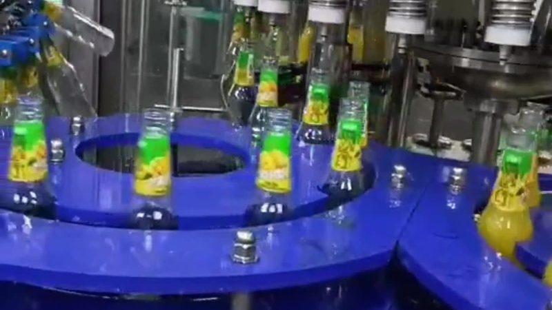 揭秘全自动禽类屠宰设备：报价背后的考量因素